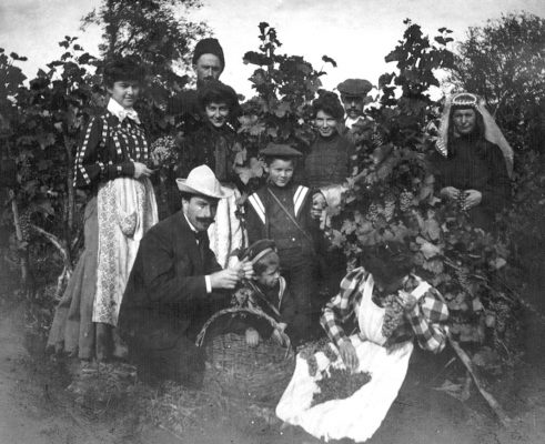 Семья Спасских на сборе винограда. Грузия. 1900-е гг. (Фото из архива Е.Д. Спасского)